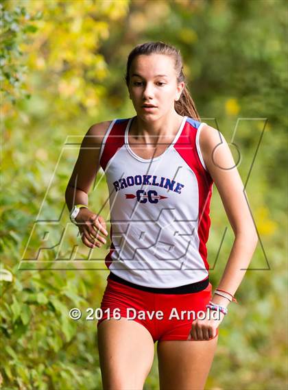 Thumbnail 1 in Brookline, Dedham, Milton @ Needham photogallery.