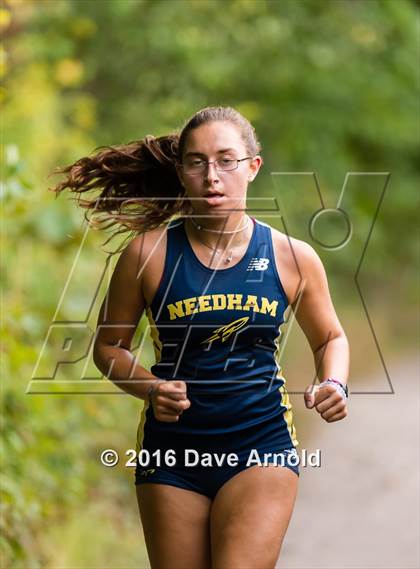 Thumbnail 2 in Brookline, Dedham, Milton @ Needham photogallery.