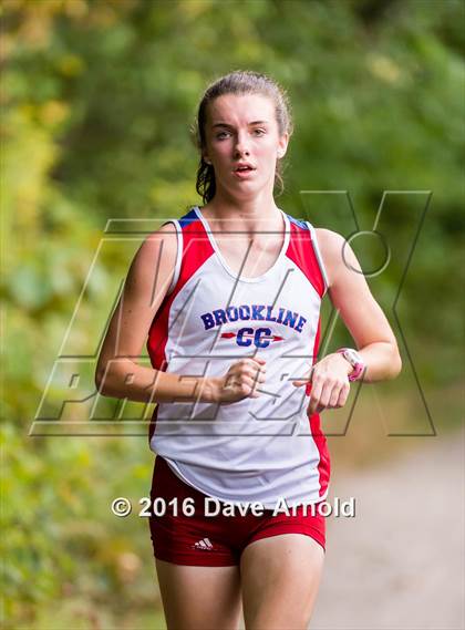 Thumbnail 2 in Brookline, Dedham, Milton @ Needham photogallery.