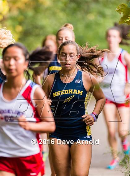 Thumbnail 1 in Brookline, Dedham, Milton @ Needham photogallery.