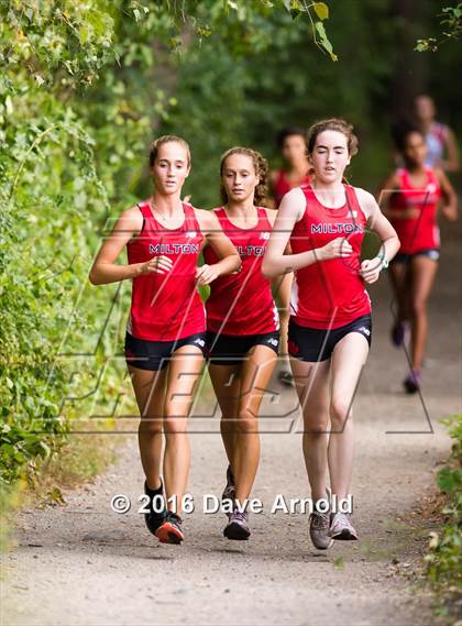 Thumbnail 3 in Brookline, Dedham, Milton @ Needham photogallery.