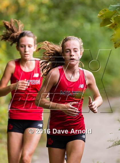 Thumbnail 3 in Brookline, Dedham, Milton @ Needham photogallery.
