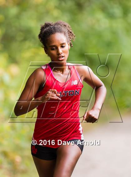 Thumbnail 2 in Brookline, Dedham, Milton @ Needham photogallery.