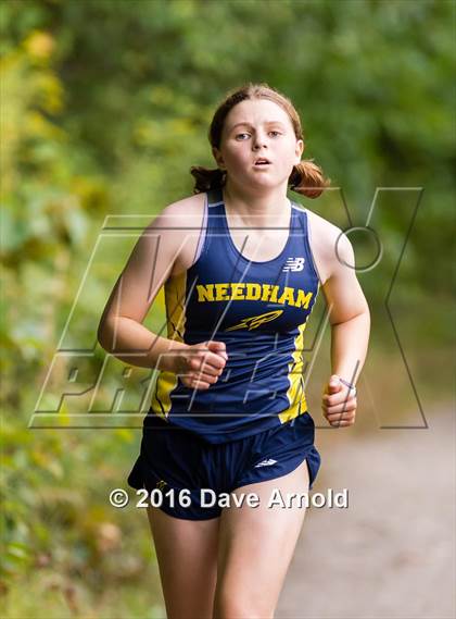 Thumbnail 1 in Brookline, Dedham, Milton @ Needham photogallery.