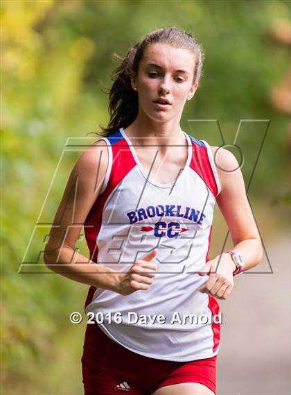 Thumbnail 3 in Brookline, Dedham, Milton @ Needham photogallery.