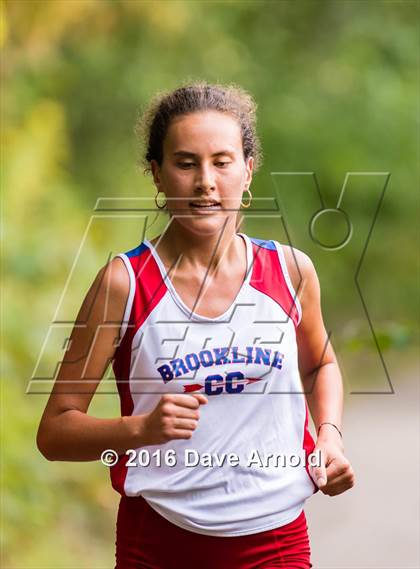 Thumbnail 1 in Brookline, Dedham, Milton @ Needham photogallery.