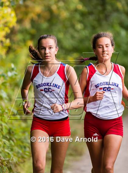 Thumbnail 3 in Brookline, Dedham, Milton @ Needham photogallery.