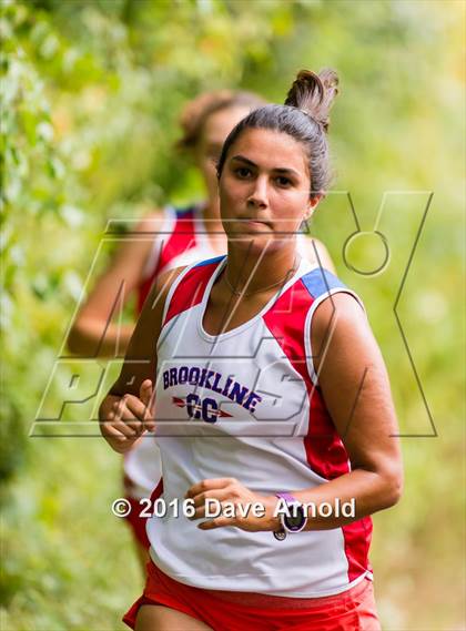 Thumbnail 3 in Brookline, Dedham, Milton @ Needham photogallery.