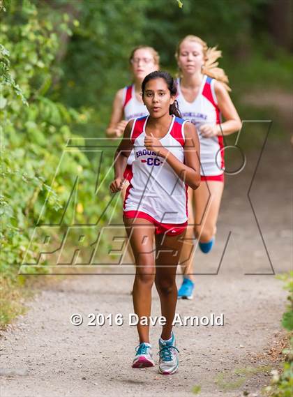 Thumbnail 1 in Brookline, Dedham, Milton @ Needham photogallery.