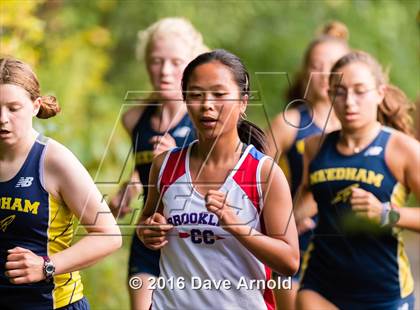 Thumbnail 3 in Brookline, Dedham, Milton @ Needham photogallery.
