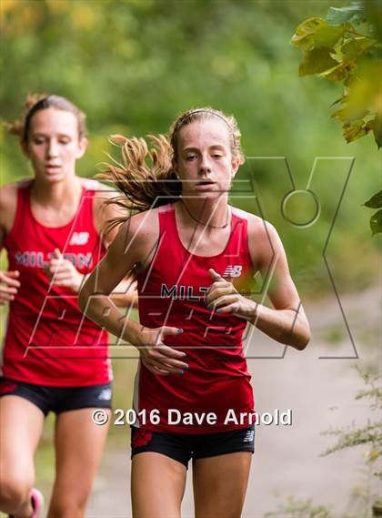 Thumbnail 1 in Brookline, Dedham, Milton @ Needham photogallery.