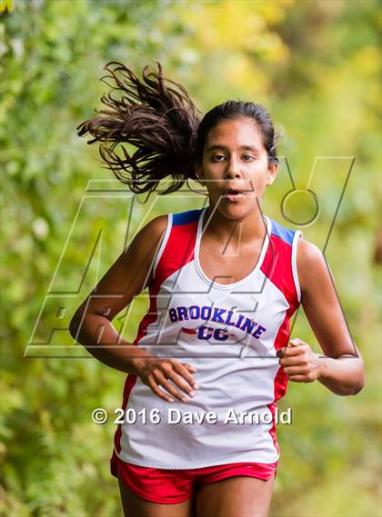 Thumbnail 3 in Brookline, Dedham, Milton @ Needham photogallery.