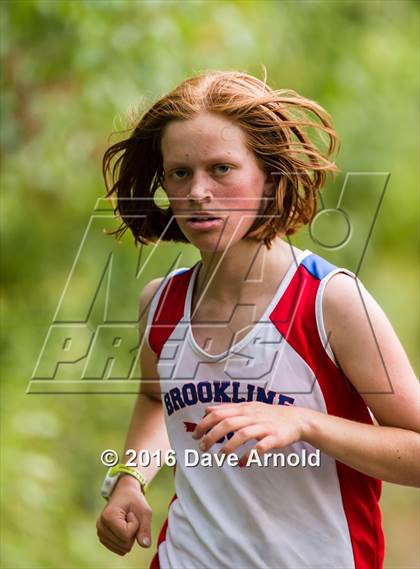 Thumbnail 1 in Brookline, Dedham, Milton @ Needham photogallery.