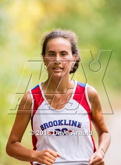 Thumbnail 1 in Brookline, Dedham, Milton @ Needham photogallery.