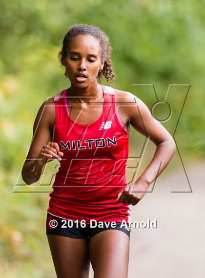 Thumbnail 1 in Brookline, Dedham, Milton @ Needham photogallery.