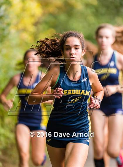 Thumbnail 1 in Brookline, Dedham, Milton @ Needham photogallery.