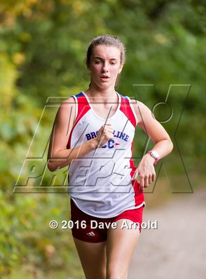 Thumbnail 1 in Brookline, Dedham, Milton @ Needham photogallery.