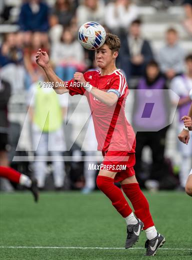 null - Photo 01