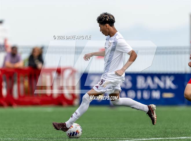 null - Photo 01
