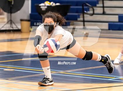 Thumbnail 3 in Wellesley @ Needham photogallery.