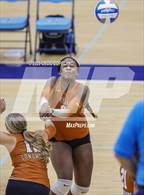 Photo from the gallery "Kell @ Pope"