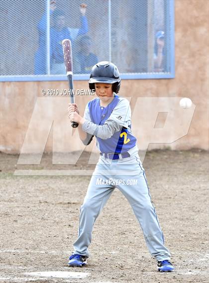 Thumbnail 3 in Questa @ Penasco photogallery.