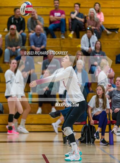 Thumbnail 2 in Evergreen @ Chatfield photogallery.