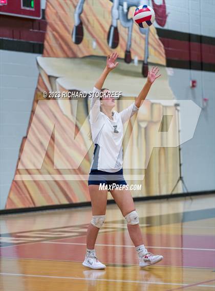 Thumbnail 1 in Evergreen @ Chatfield photogallery.