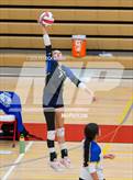 Photo from the gallery "Hazen @ Newport - Bellevue"