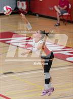 Photo from the gallery "Hazen @ Newport - Bellevue"