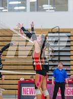 Photo from the gallery "Hazen @ Newport - Bellevue"