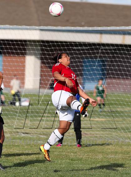 Thumbnail 1 in Patterson vs Enochs (Champions Cup) photogallery.