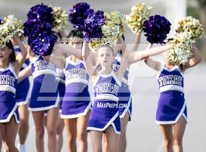 Thumbnail 1 in Lodi @ Tokay photogallery.