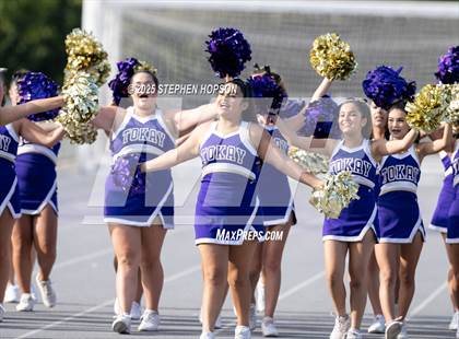 Thumbnail 2 in Lodi @ Tokay photogallery.