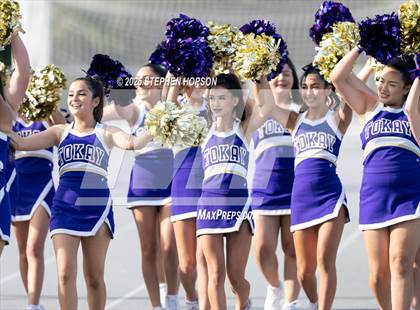 Thumbnail 3 in Lodi @ Tokay photogallery.