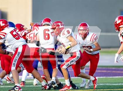 Thumbnail 1 in Lodi @ Tokay photogallery.