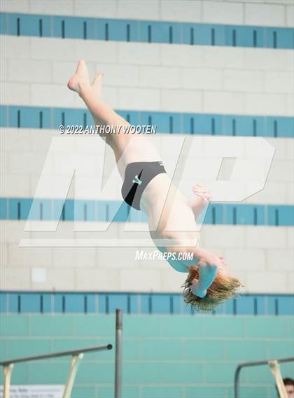 Thumbnail 1 in NCHSAA 4A State Diving Championships photogallery.