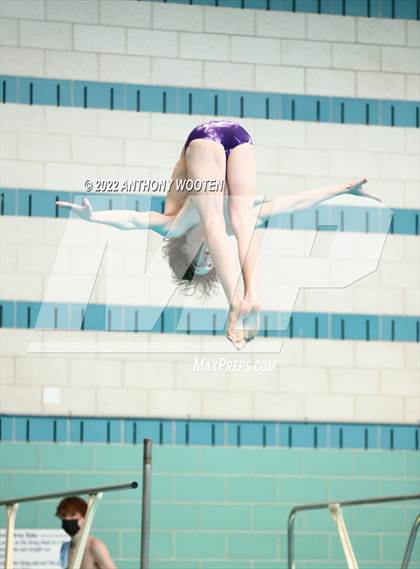 Thumbnail 1 in NCHSAA 4A State Diving Championships photogallery.