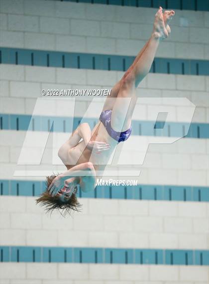 Thumbnail 1 in NCHSAA 4A State Diving Championships photogallery.