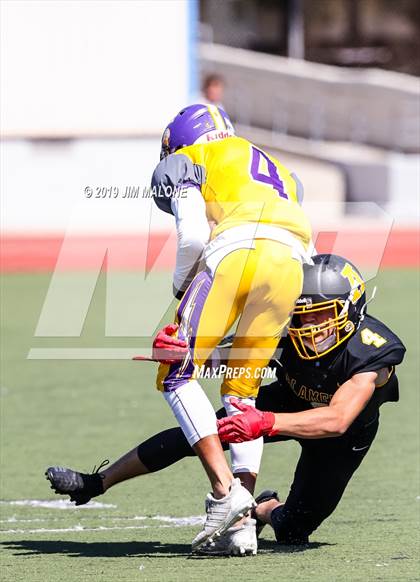 Thumbnail 1 in Kennedy vs. Alameda photogallery.