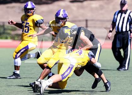 Thumbnail 3 in Kennedy vs. Alameda photogallery.