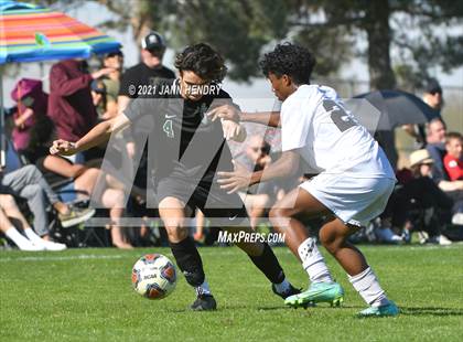 Thumbnail 1 in Coronado vs. Palo Verde (Class 5A Southern Section FINAL) photogallery.