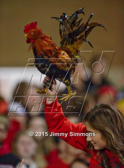 Thumbnail 2 in Mattoon @ Triad photogallery.