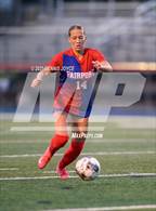 Photo from the gallery "Webster Thomas @ Fairport"