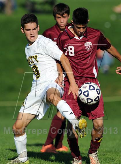 Thumbnail 3 in Sheehan @ Amity photogallery.