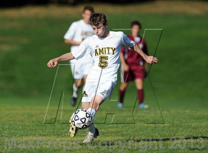 Thumbnail 1 in Sheehan @ Amity photogallery.