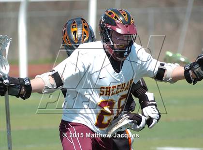Thumbnail 2 in Shelton @ Sheehan photogallery.