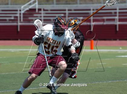 Thumbnail 1 in Shelton @ Sheehan photogallery.