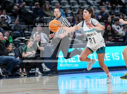 Thumbnail 2 in Westminster vs Mountain Vista (Ball Arena) photogallery.