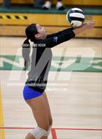 Photo from the gallery "Catalina Foothills @ Canyon del Oro"